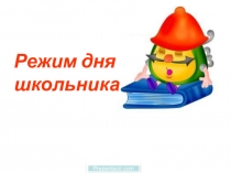 Презентация по биологии Солнце,воздух и вода