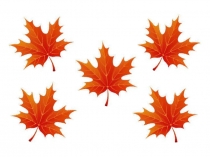 Презентация к уроку обучения грамоте. Звуки [л],[л’]. Буквы Л,л.