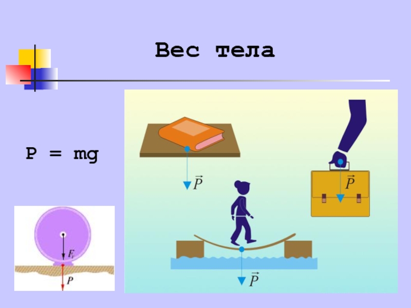 Схема вес тела