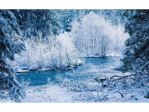 Презентация по русскому языку на тему Хайваннар дөньясында