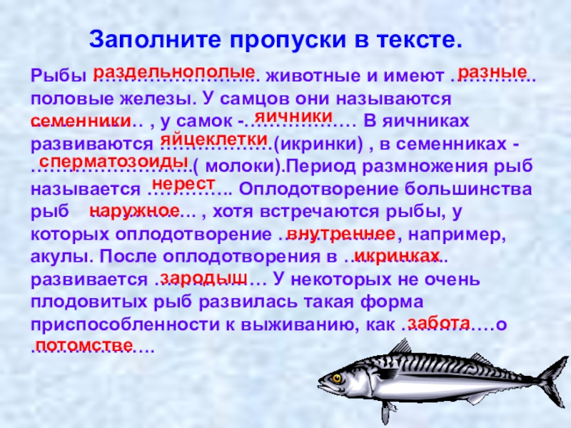 Рыбатекст. Размножение рыб. Развитие рыб. Особенности развития рыб. Размножение рыб кратко.