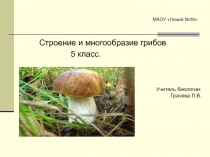 Презентация урока Строение грибов 5 класс (Линия жизни В.В.Пасечник)