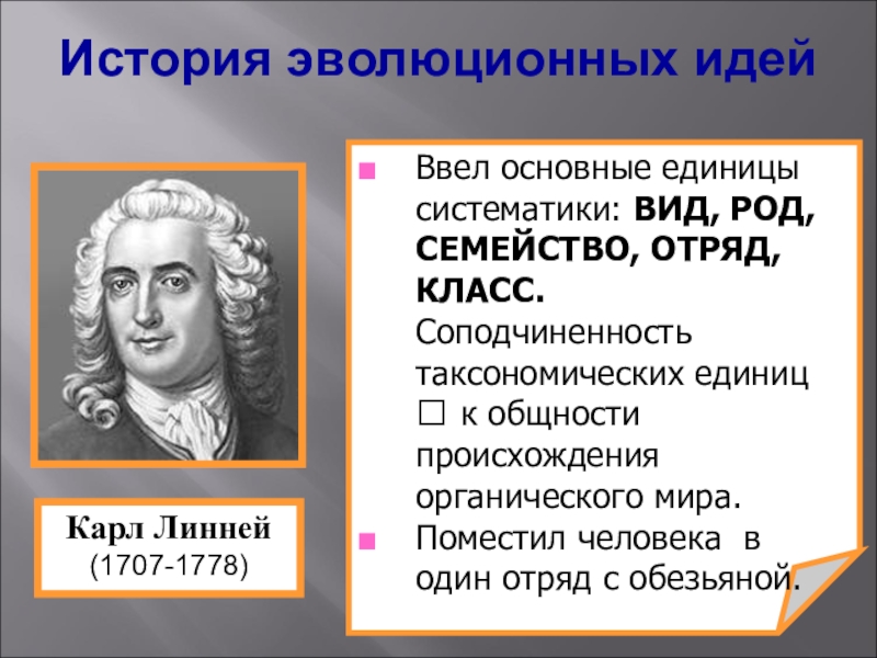 Вид основная единица. История развития эволюционных идей. Учение Линнея. Линней эволюционные идеи. История эволюционных идей Линней.