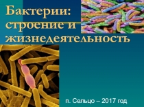 Презентация по биологии на тему Бактерии: строение и жизнедеятельность