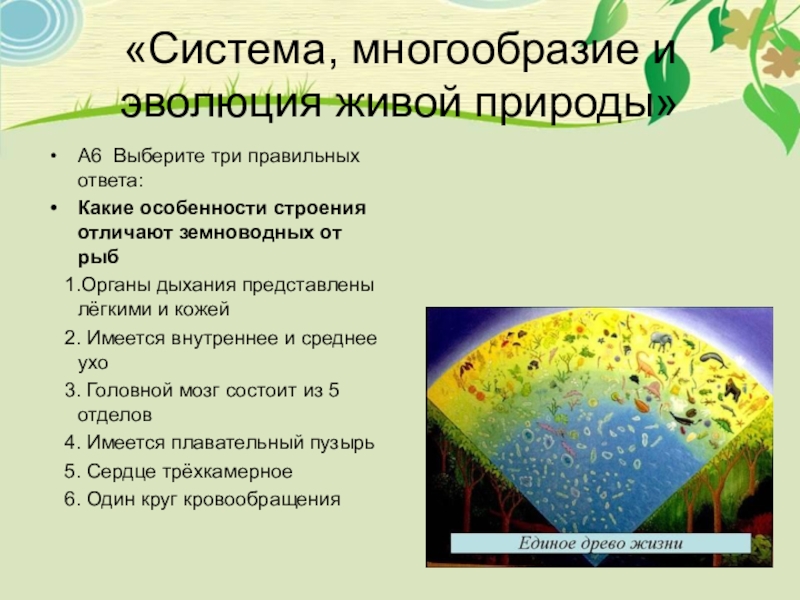 Проект многообразие живой природы