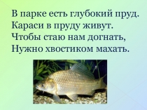 Презентация Урок 35 ЧАСТИ РЕЧИ. ГЛАГОЛ