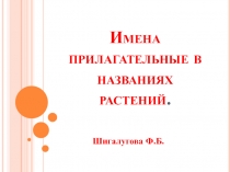 Презентация по русскому языку Имена прилагательные в названиях растений 6 класс