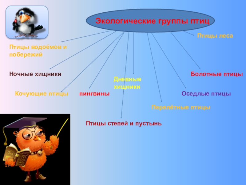 Проект по биологии экологические типы птиц