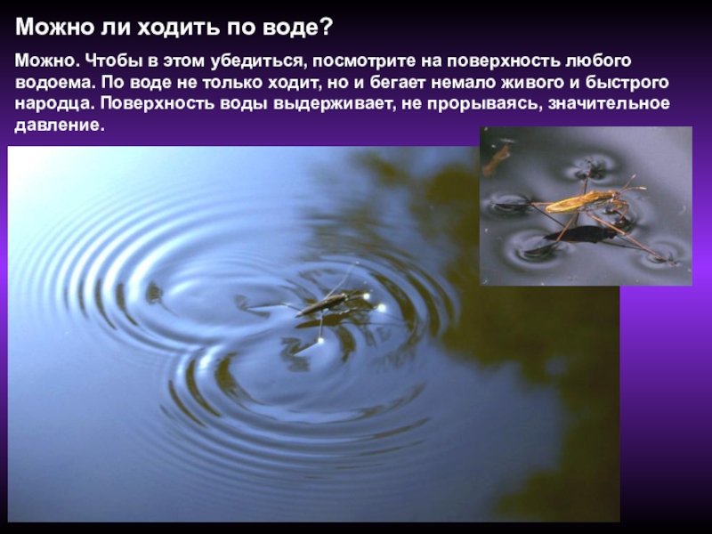 Песня идущего по воде. Как ходить по воде. Возможно ли ходить по воде. Идти по поверхности воды. Можно ли ходить поаодн.