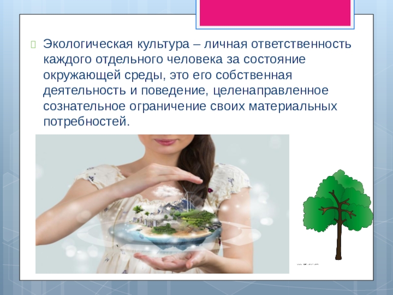 персональная ответственность каждого. принцип личной ответственности. личная ответственность это определение. персональная ответственность каждого. персональная ответственность каждого.
