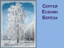 Презентация по литературному чтению Сергей Есенин. Береза