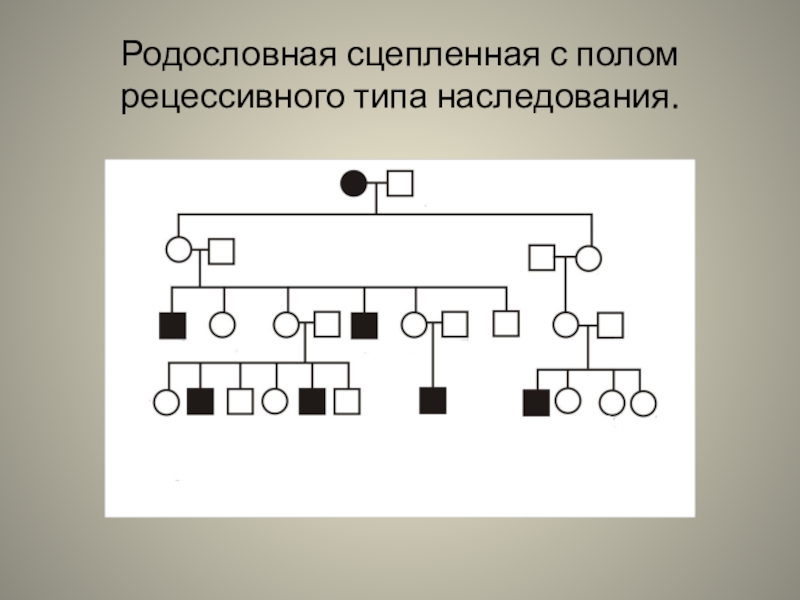 Х сцепленный рецессивный тип наследования схема