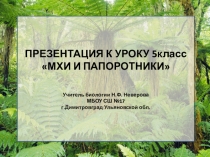 Презентация Мхи и папоротники 5 класс
