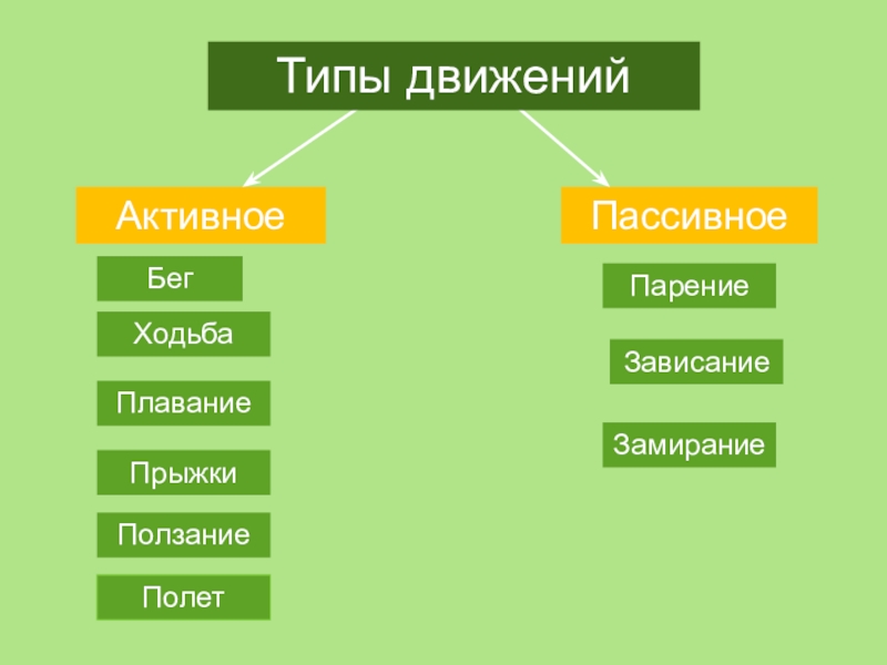 Движения характерные для животных. Виды движений человека. Способы передвижения человека. Способ и Тип передвижения животных. Активные виды передвижения.