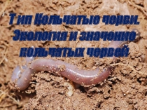 Презентация по биологии на тему Тип кольчатые черви (7 класс)