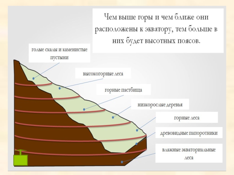 Широтная зональность схема