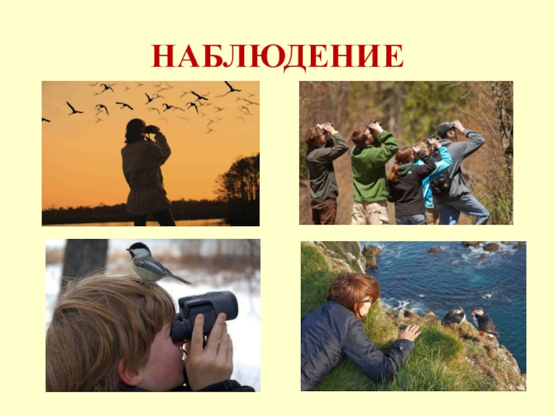 Наблюдение б. Методы изучения природы наблюдение. Изучение природы для человека. Исследование человека в природе. Наблюдение это метод изучение природы при котором.