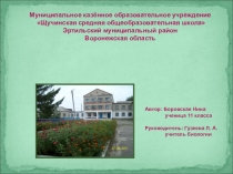 Презентация по биологии к проекту Выращивание овощных культур с применением растений – фитонцидов