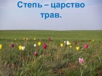 Презентация по окружающему миру на тему Степь - царство трав (4 класс)