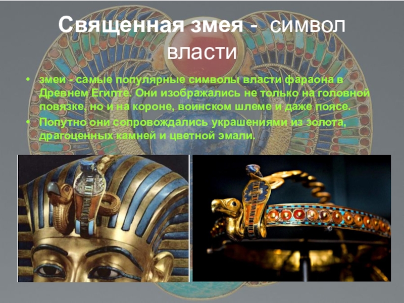 Животные символы власти. Змея символ власти. Символ Египта Священная змея. Символы власти в древнем Египте. Священная змея символ власти.