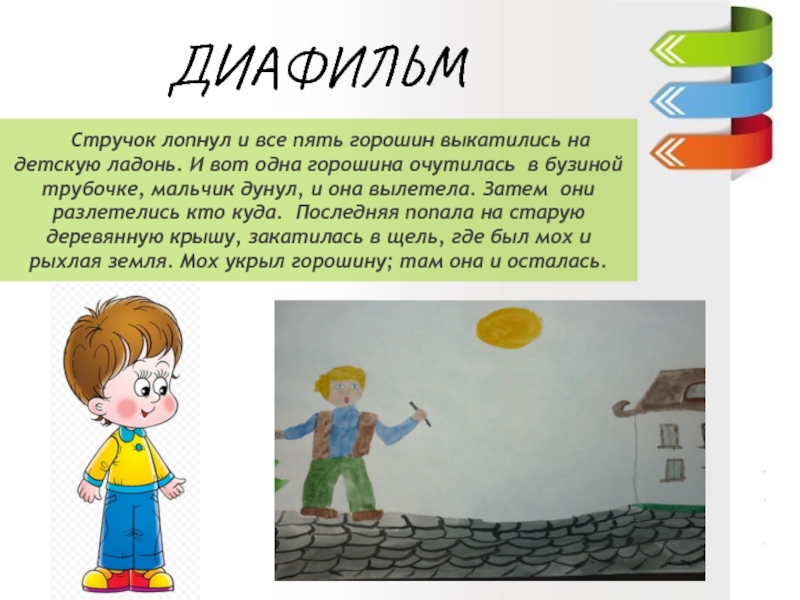 Ганс –Христиан Андерсен«Пятеро из одного стручка»ДИАФИЛЬМ 3 класс «В» МОУ «Гимназия №5» Учитель : Куликова Ирина Николаевна 