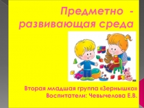 Предметно-развивающая среда группы в ДОУ