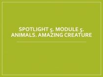 Животные. 5 класс