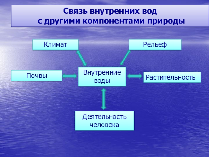 Схема внутренних вод. Внутренние воды. Связь внутренних вод с другими компонентами природы. Схема внутренние воды России. Внутренний.