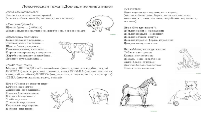 Презентация для дошкольников домашние животные средняя группа