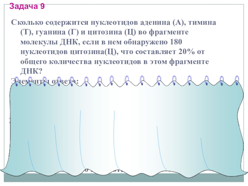 Сколько содержится нуклеотидов аденина. 277. Сколько содержится:.