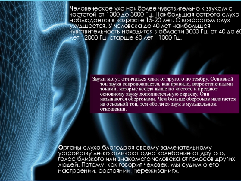На рисунке приведены частоты воспринимаемые органами слуха. Звук и человеческое ухо. Частота слуха человека. Частота воспринимаемая человеческим ухом. Звуки человеческой речи.