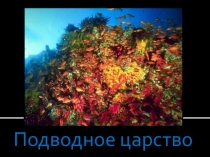 Презентация по ИЗО 2 класс Подводный мир