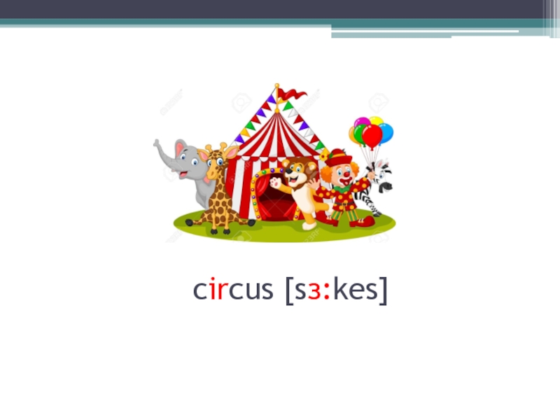 circus [sз:kes]