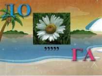 Сканворд по БДД подготовительная группа