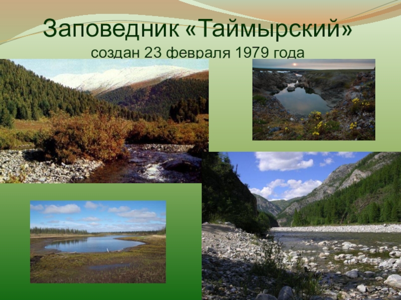 Таймырский заповедник природная зона. Таймырский заповедник презентация. Таймырский заповедник 4 класс. Презентация Таймырский заповедник 4 класс окружающий мир. Таймырский заповедник растения презентация.