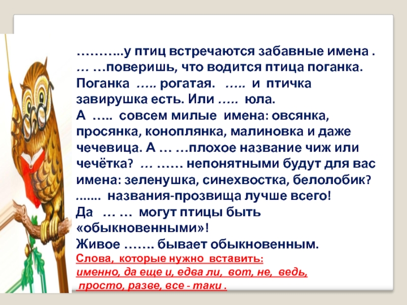 Встречающихся имя. У птиц забавные встречаются имена поверишь что водится. У птиц забавные встречаются имена. У птиц забавные встречаются имена Сладков. У птиц забавные встречаются имена поверишь что водится птица-поганка.