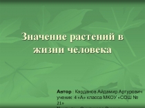 Презентация Какова роль растений в жизни человека?  ( 4 класс)