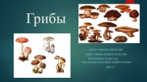 Грибы ( 6 классы)