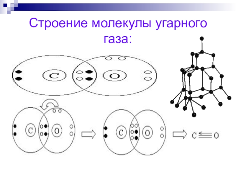 Схема строения молекулы