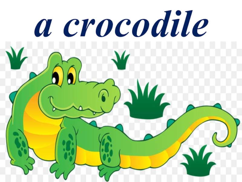 Как будет по английскому змей. Слово Crocodile. Крокодил в презентации из фигур. Поздравляем надпись крокодил. Проект по английскому Клевер animals.