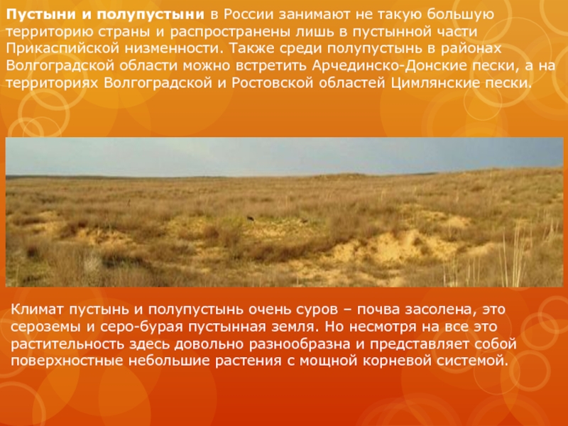 Температура летом в полупустынях. Растения пустыни и полупустыни в России. Полупустыни Прикаспийской низменности. Растительный мир пустыни и полупустыни. Зона полупустынь и пустынь растения.