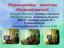 Презентация к внеклассному мероприятию Первоцветы посёлка Нижнегорский