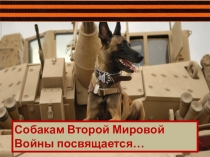 Презентация. Роль собак во время Второй Мировой войны.