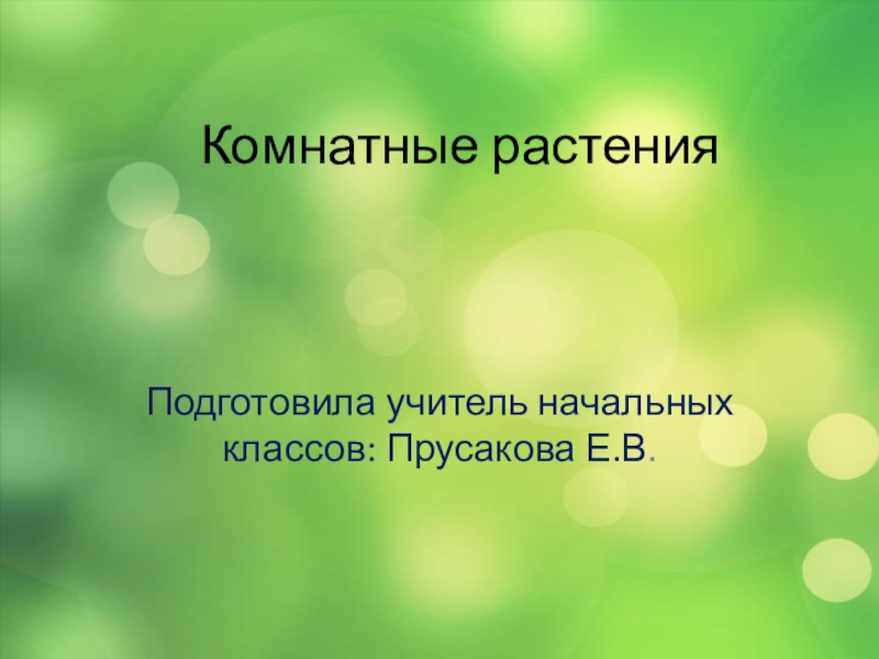 Презентация по окружающему миру на тему Комнатные растения (2 класс)