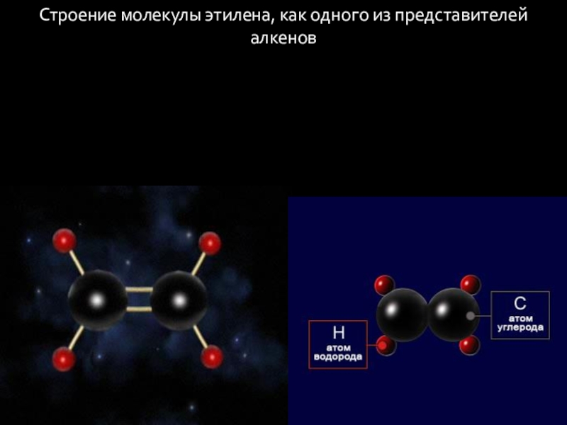 Презентация по химии на тему алкены 10 класс