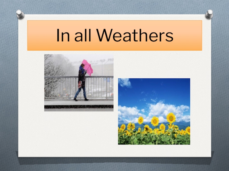 5 Класс немецкий погода презентация. Погода 5 класс спотлайт