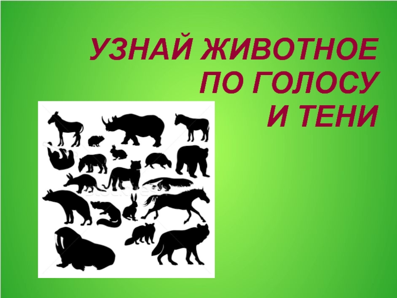 Как можно понимать животных. Тени животных холодных стран. Животные жарких и холодных стран. Групповой проект животные. Узнать животного по голосу.