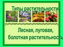 Презентация по географии Растительный мир Беларуси