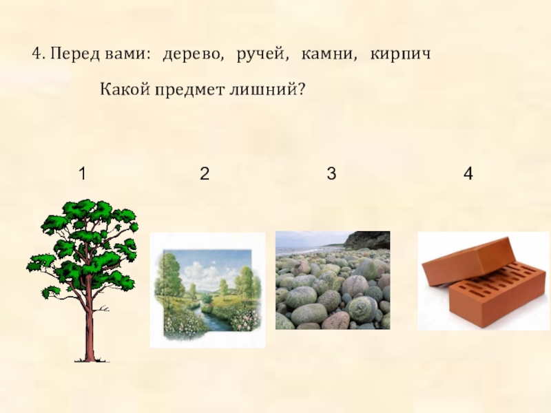 Ручей и камень по с козлову 2 класс 8 вид презентация