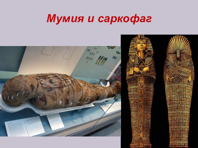 Мумия и саркофаг